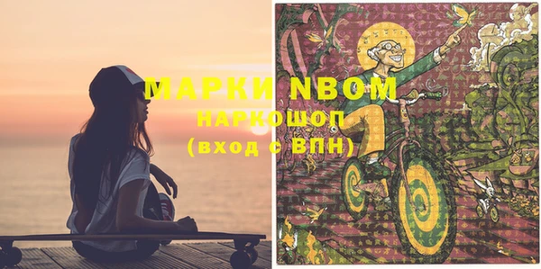 шишки Краснослободск
