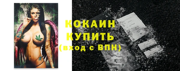 шишки Краснослободск